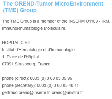 Orend TME Group